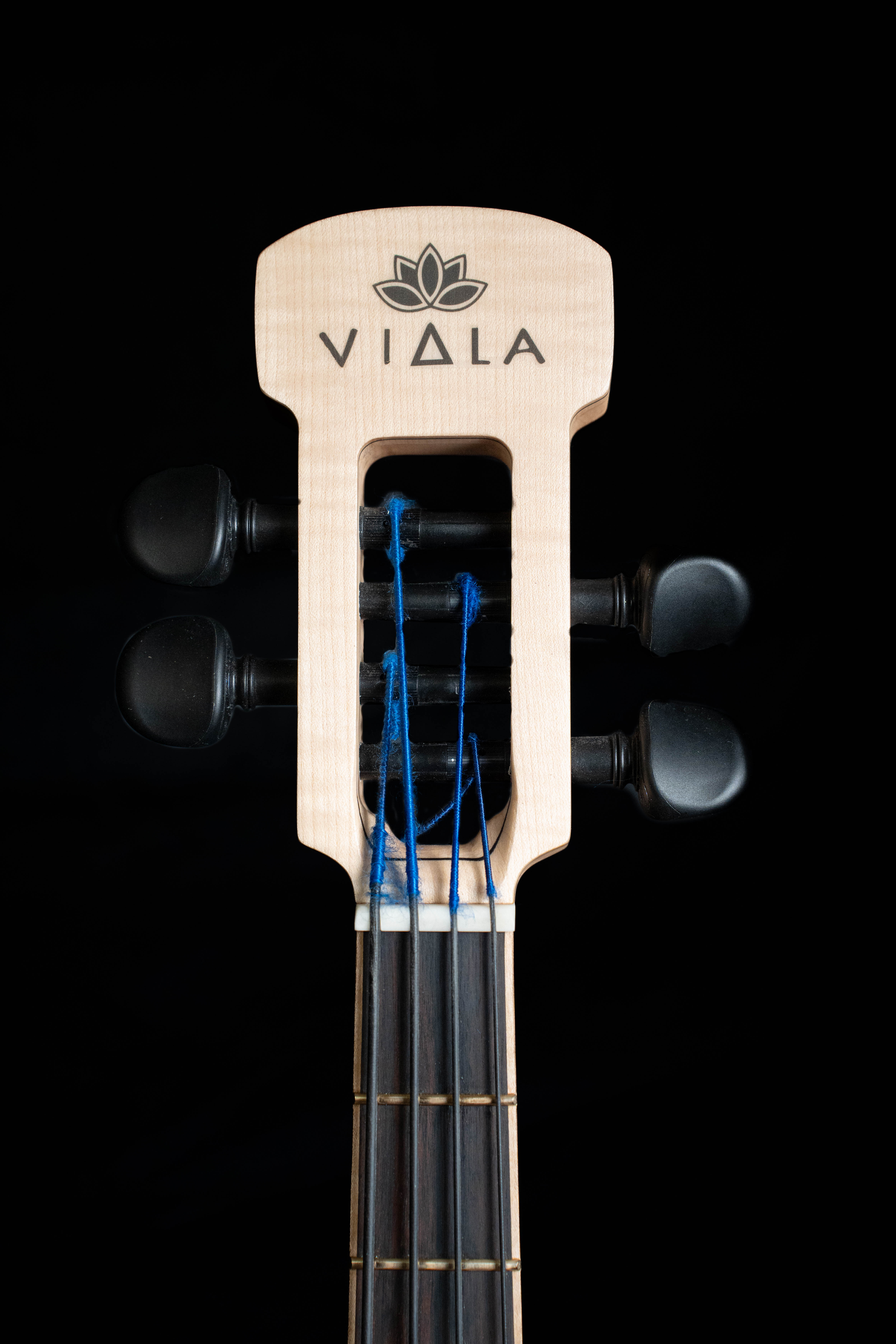 Viala V1 — Photo 7